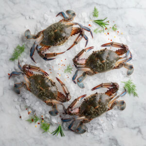 Jaiba Concha Suave por KG